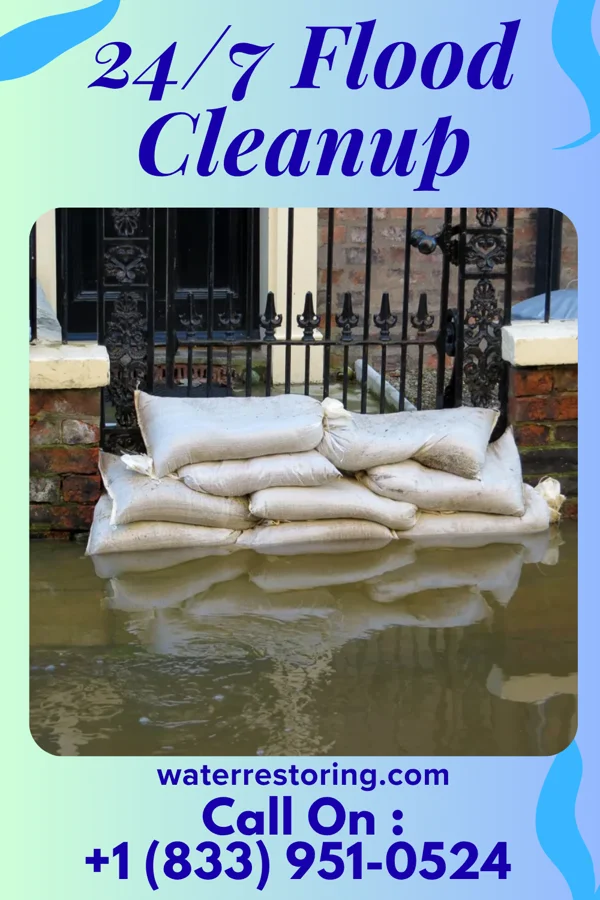 24/7 Flood Cleanup in Lee, IL