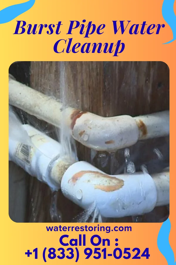 Burst Pipe Water Cleanup in Lee, IL