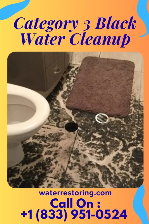 Category 3 Black Water Cleanup in Lee, IL