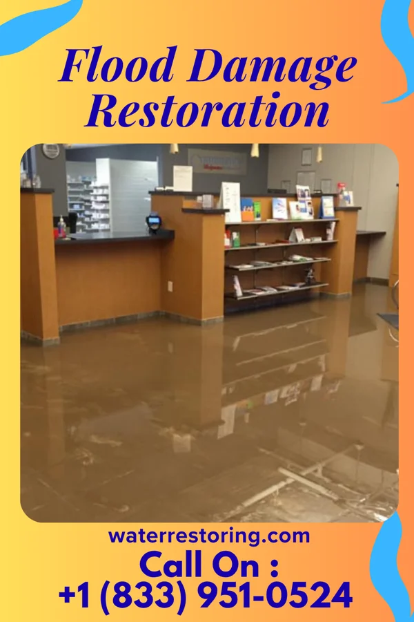 Flood Damage Restoration in Lee, IL