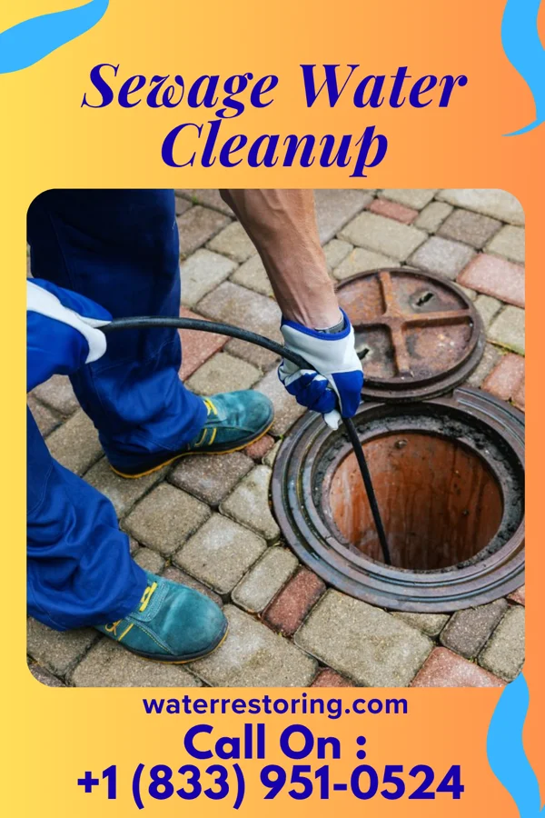 Sewage Water Cleanup in Lee, IL